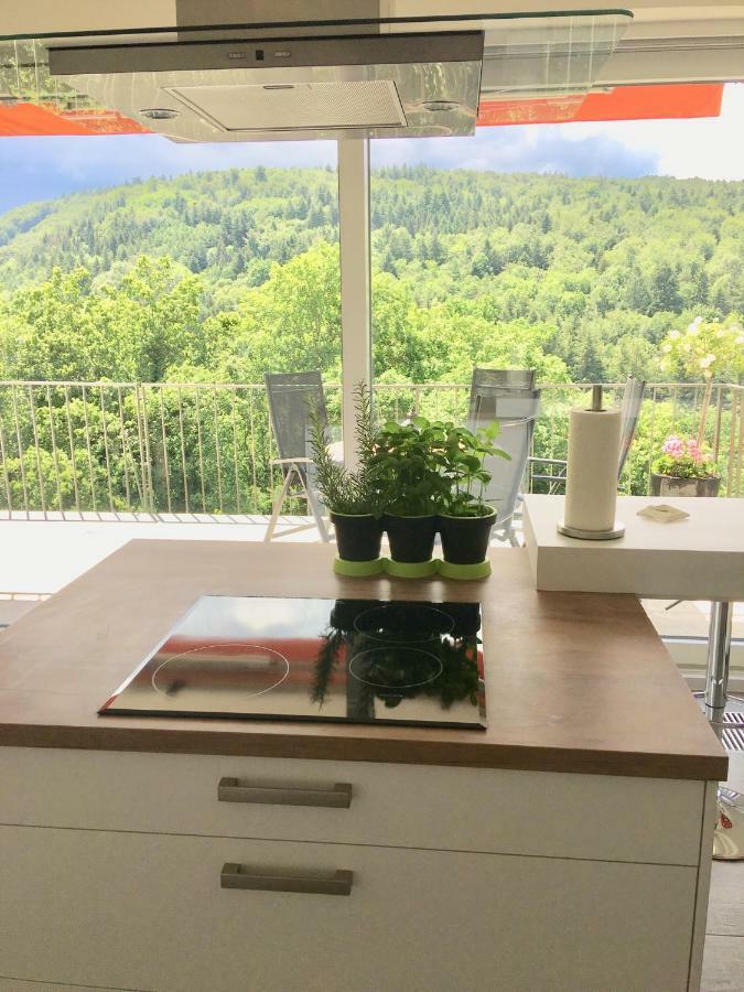 Apartment Am Kupferhammer Pforzheim Exteriör bild